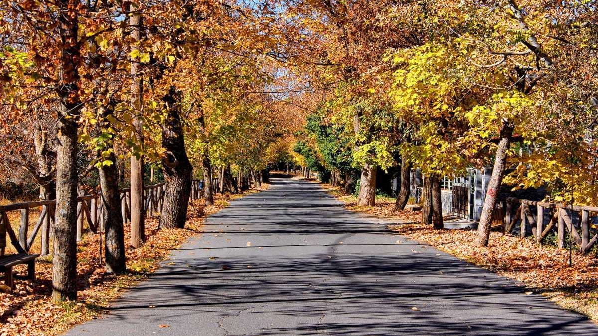 Ο Δρόμος της Αγάπης